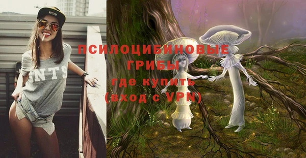 мет Абаза