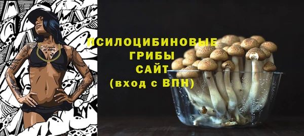 мет Абаза