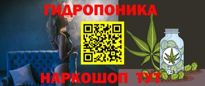 ГАЛЛЮЦИНОГЕННЫЕ ГРИБЫ Бийск