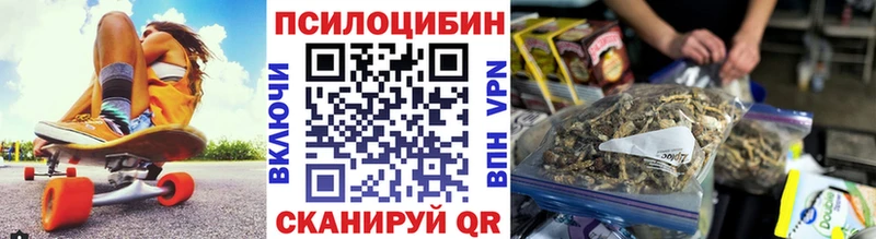 наркошоп  Дивногорск  Псилоцибиновые грибы Psilocybe 